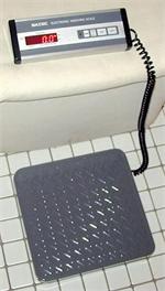 500-Lb Wide-Platform Digital Scale